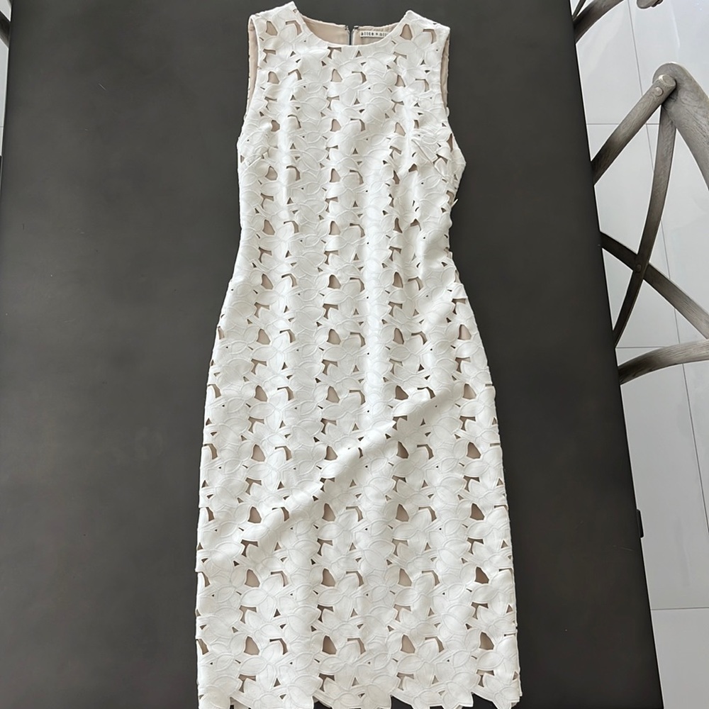 Alice and Olivia stunning dress